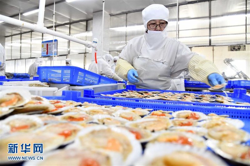 虾类批发:市场的变化与机遇