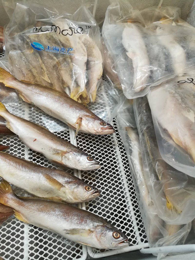鱼类批发市场:行业的活力与变革