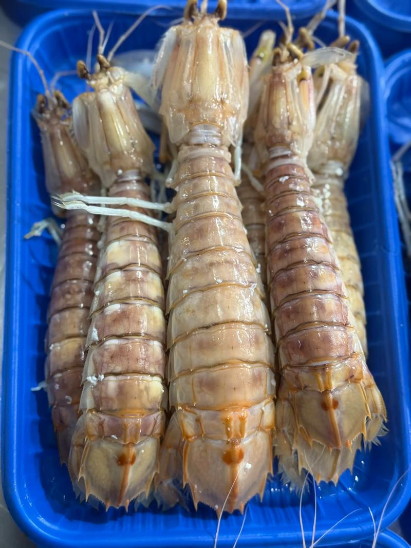 诸暨海产品批发引领浙江海鲜市场新风尚