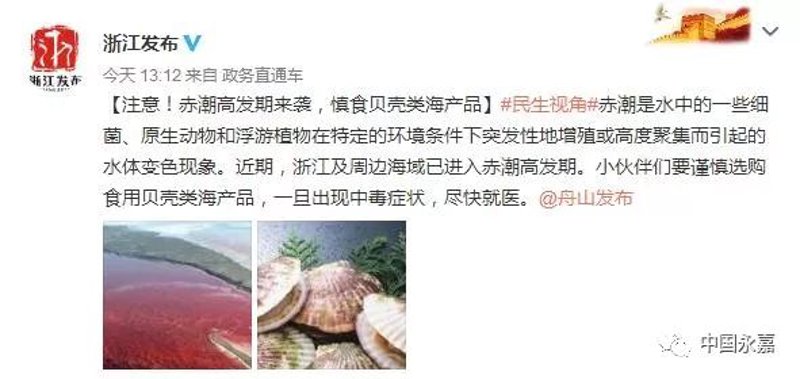 诸暨海产品批发:海洋中的美味宝藏