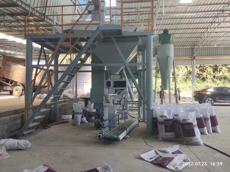 活力鱼市:鱼类批发的新篇章
